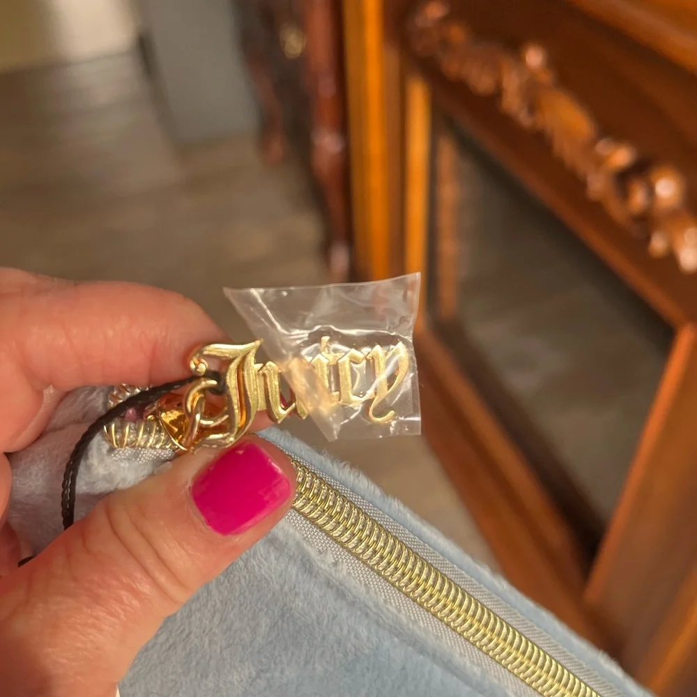 Juicy Light Blue Velour Pouch with Gold Zipper - Picture 4 of 8